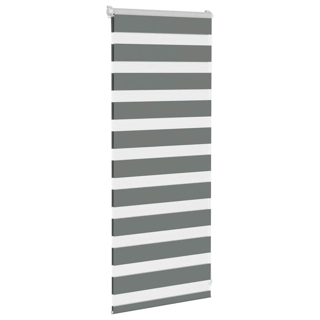 vidaXL Store Enrouleur Double Gris Foncé 65x100 cm Largeur du tissu 60,9 cm Polyester