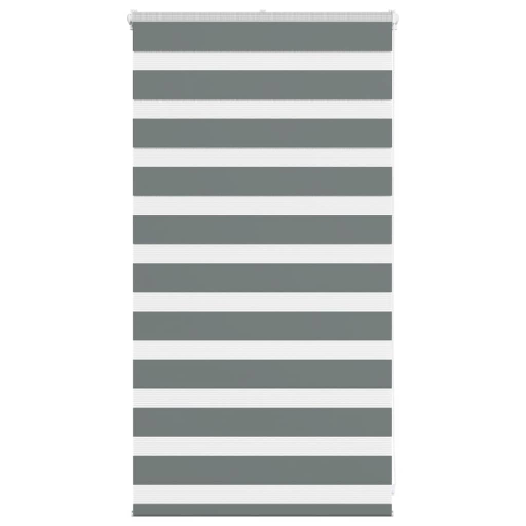 vidaXL Double Store Enrouleur Gris Foncé 80x100 cm Largeur du tissu 75,9 cm Polyester