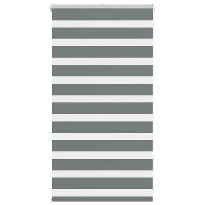 vidaXL Double Store Enrouleur Gris Foncé 80x100 cm Largeur du tissu 75,9 cm Polyester