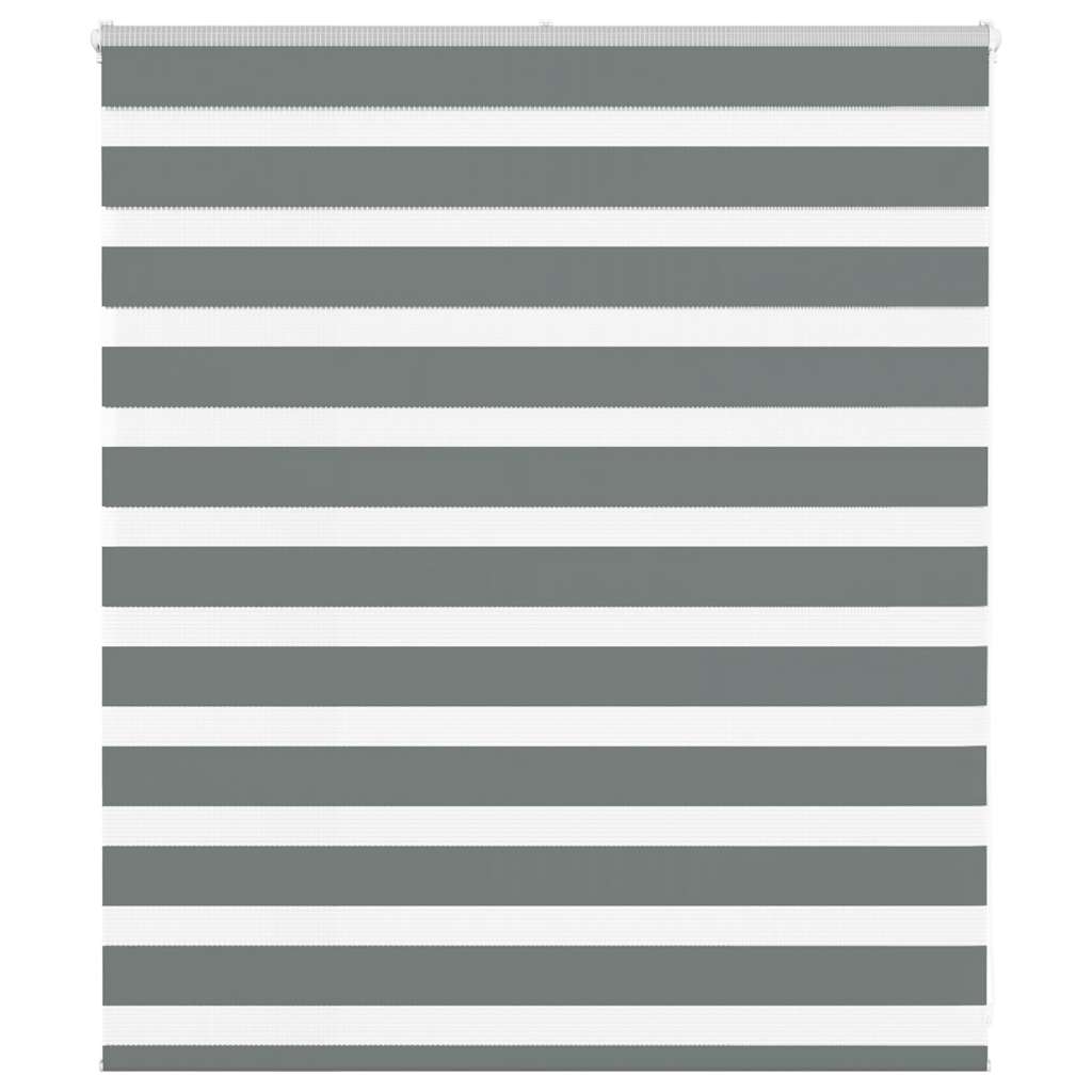 vidaXL Doppelrollo Dunkelgrau 120x100 cm Stoffbreite 115,9 cm Polyester