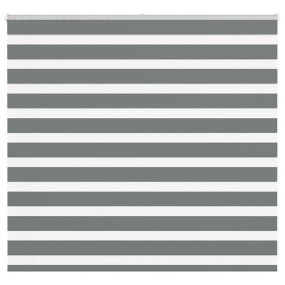 vidaXL Doppelrollo Dunkelgrau 155x100 cm Stoffbreite 150,9 cm Polyester