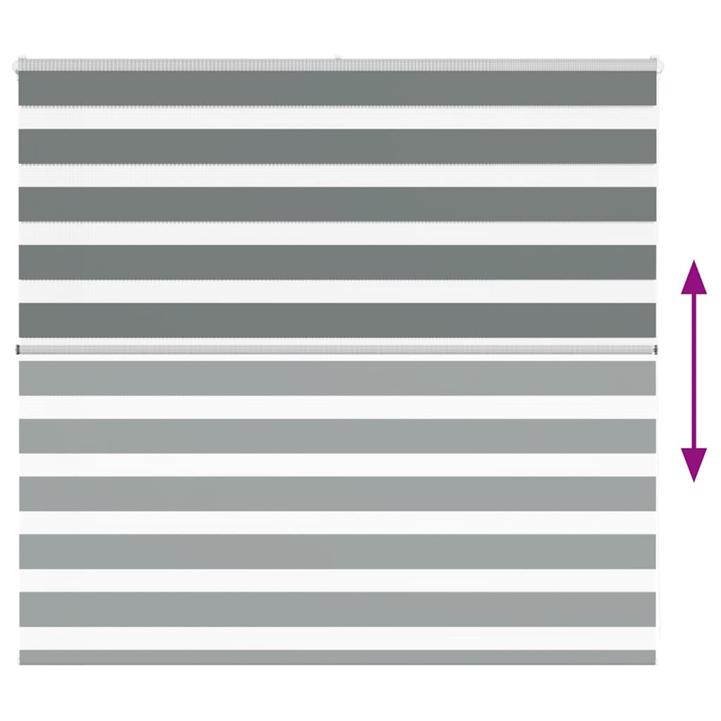 Doppelrollo Dunkelgrau 160x100 cm Stoffbreite 155,9 cm Polyester