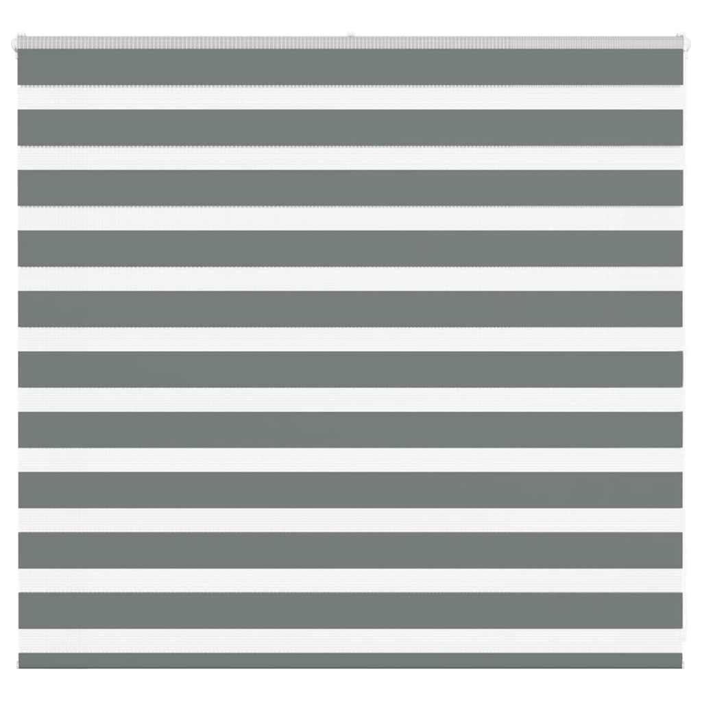 Doppelrollo Dunkelgrau 165x100 cm Stoffbreite 160,9 cm Polyester