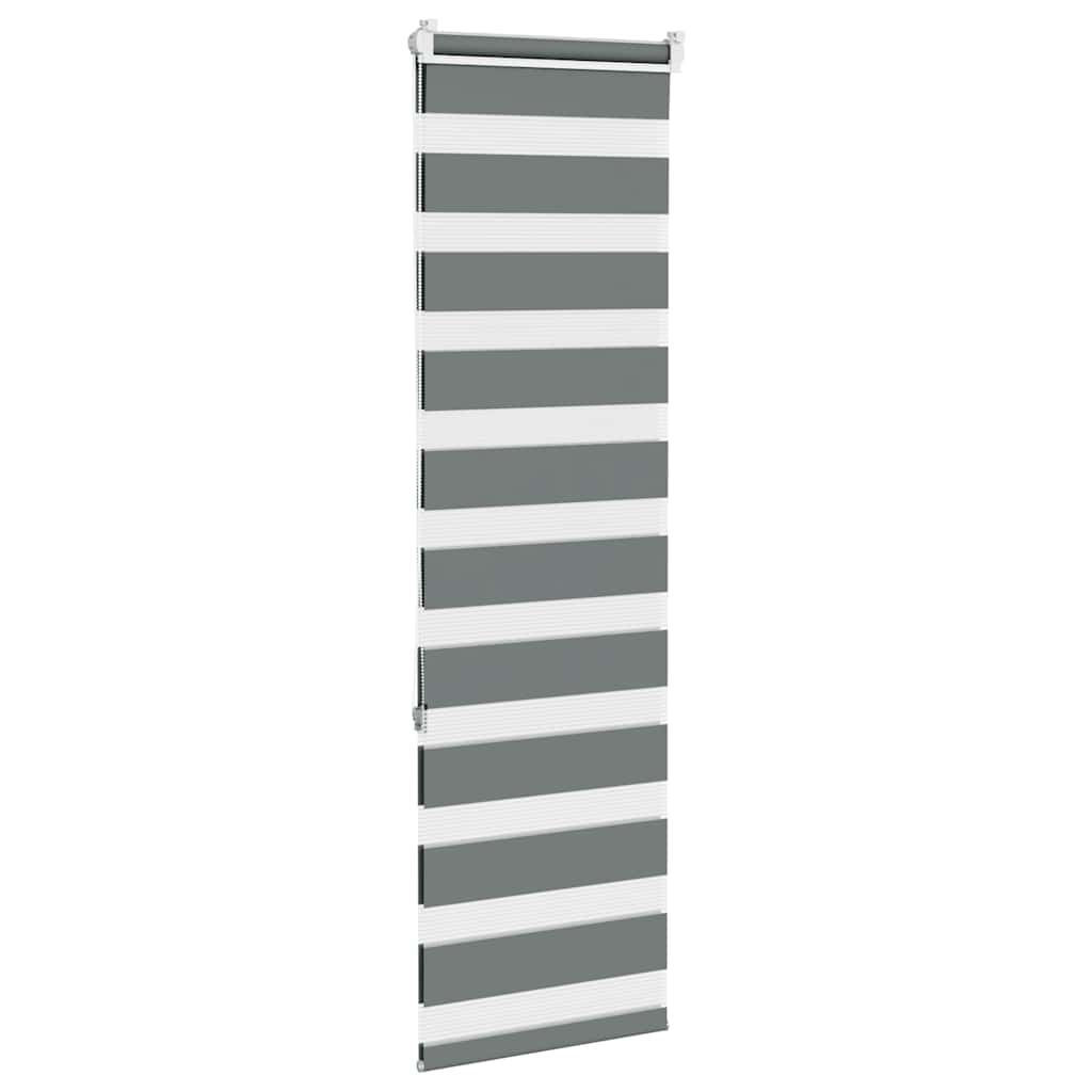vidaXL Doppelrollo Dunkelgrau 40x150 cm Stoffbreite 35,9 cm Polyester