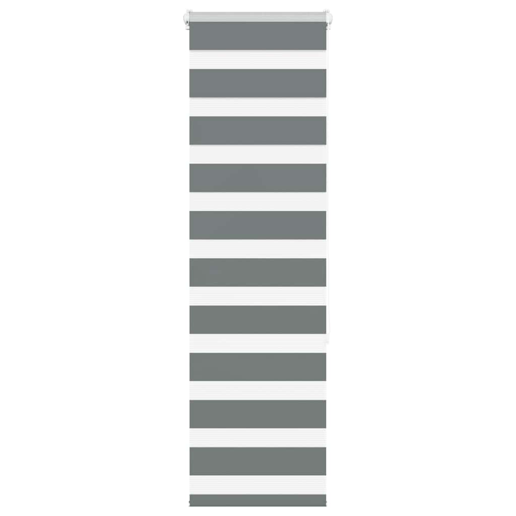 vidaXL Doppelrollo Dunkelgrau 45x150 cm Stoffbreite 40,9 cm Polyester