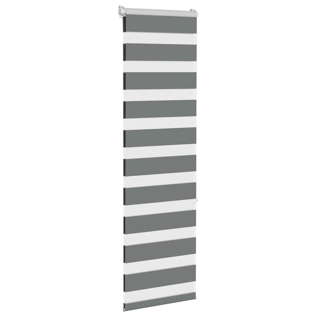 vidaXL Doppelrollo Dunkelgrau 45x150 cm Stoffbreite 40,9 cm Polyester
