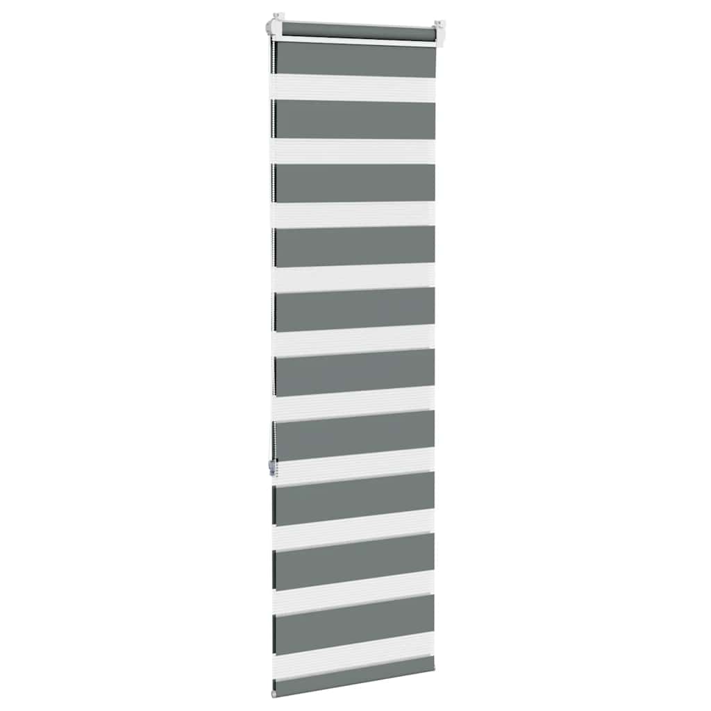 vidaXL Doppelrollo Dunkelgrau 45x150 cm Stoffbreite 40,9 cm Polyester