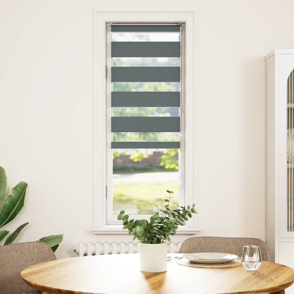 Doppelrollo Dunkelgrau 50x150 cm Stoffbreite 45,9 cm Polyester