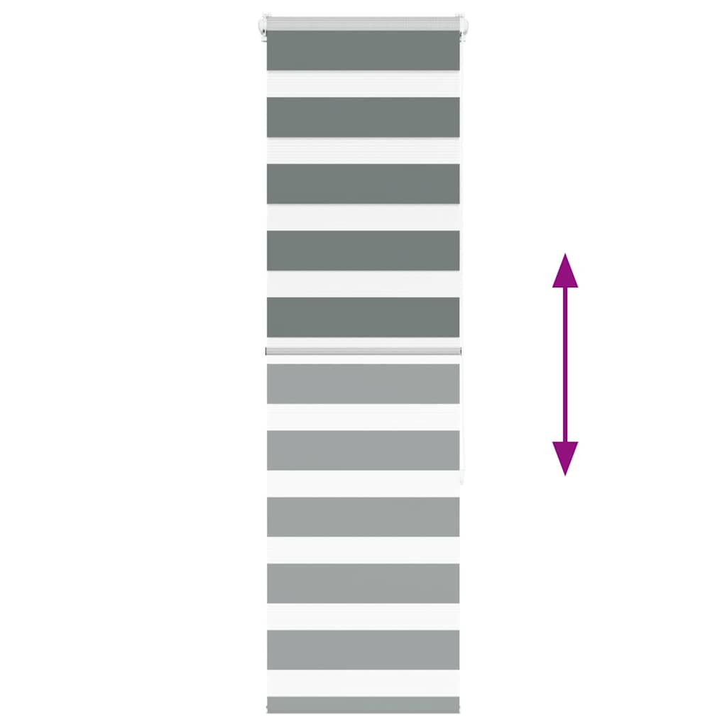 Doppelrollo Dunkelgrau 50x150 cm Stoffbreite 45,9 cm Polyester