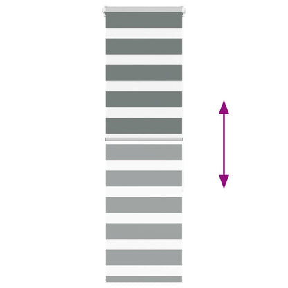 Doppelrollo Dunkelgrau 50x150 cm Stoffbreite 45,9 cm Polyester