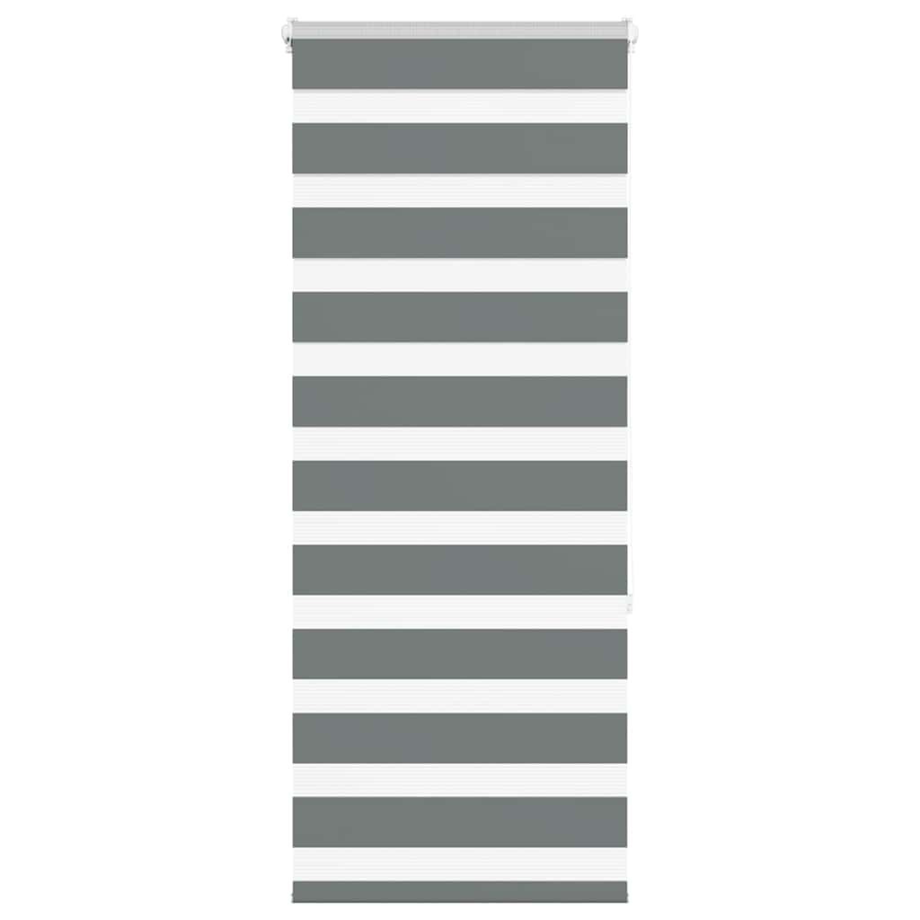 vidaXL Store enrouleur double gris foncé 55x150 cm largeur du tissu 50,9 cm polyester