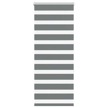 vidaXL Store enrouleur double gris foncé 55x150 cm largeur du tissu 50,9 cm polyester