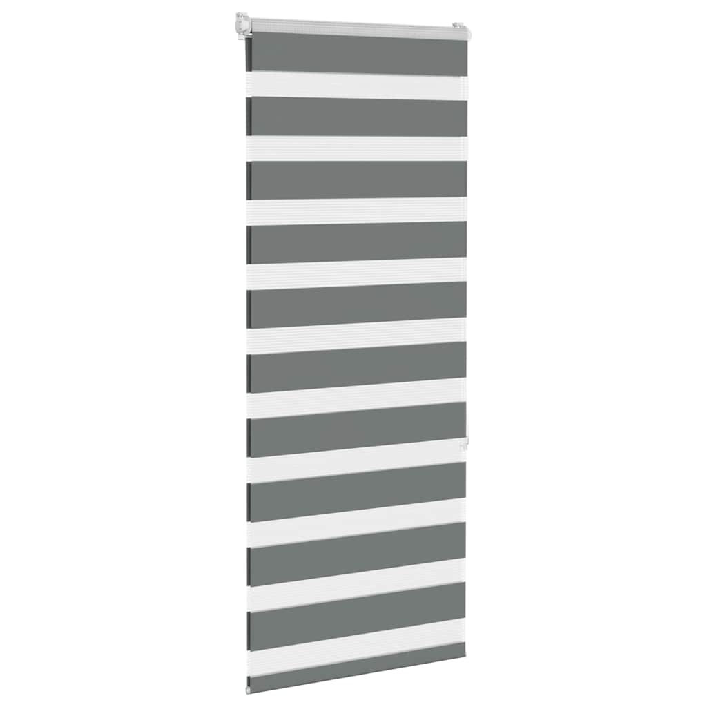 vidaXL Doppelrollo Dunkelgrau 60x150 cm Stoffbreite 55,9 cm Polyester