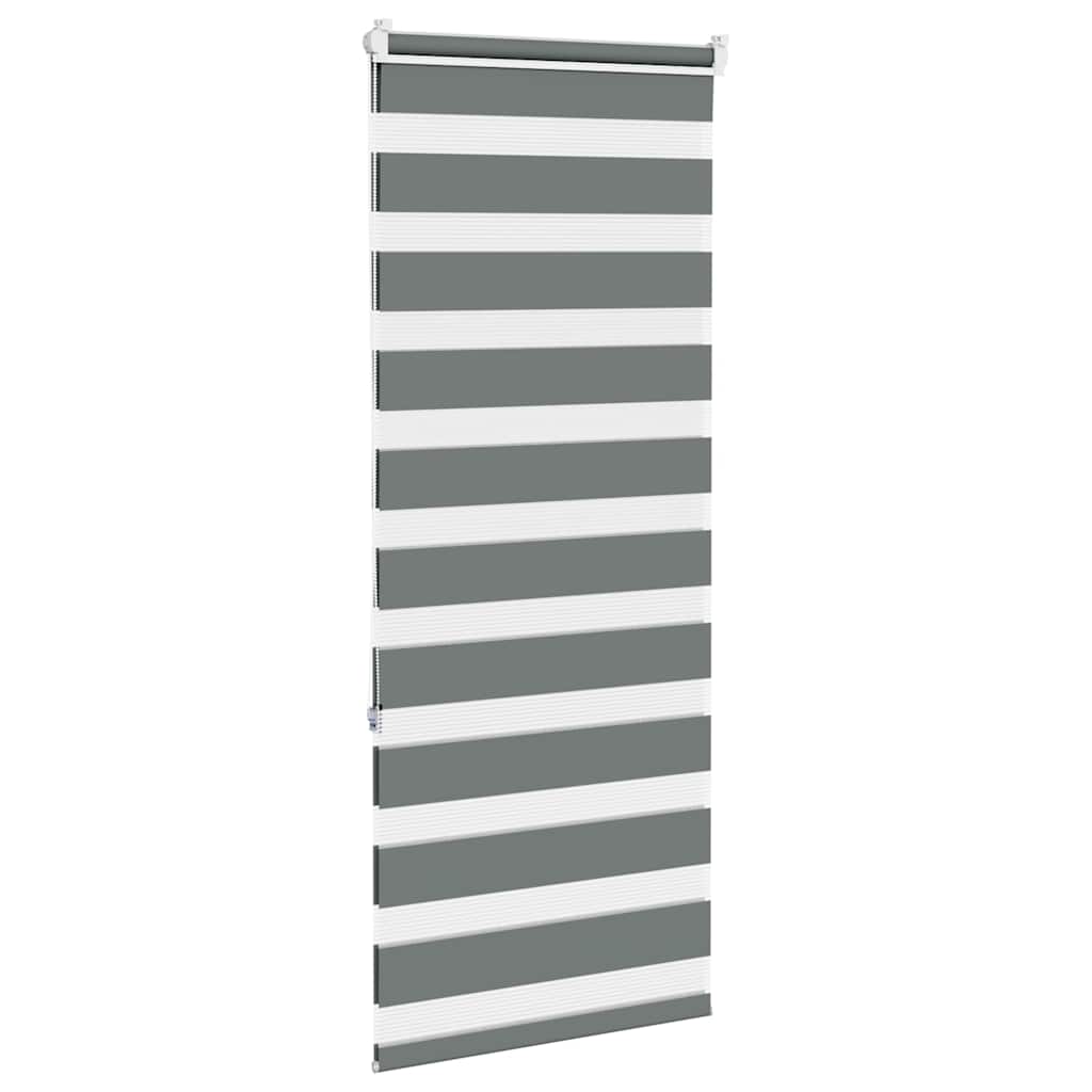 vidaXL Doppelrollo Dunkelgrau 60x150 cm Stoffbreite 55,9 cm Polyester