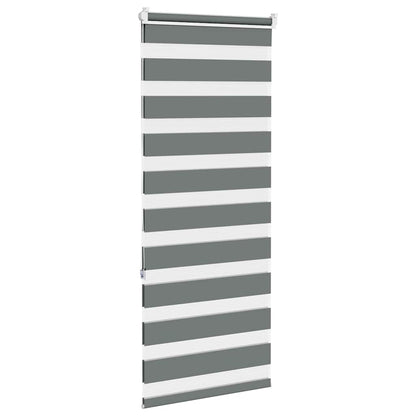 vidaXL Doppelrollo Dunkelgrau 60x150 cm Stoffbreite 55,9 cm Polyester