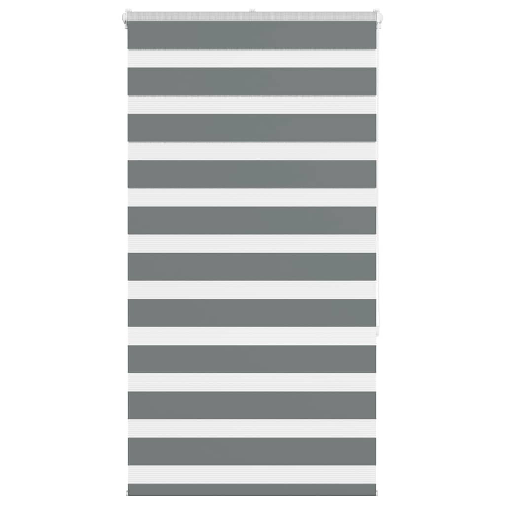 vidaXL Store jour nuit gris foncé 75x150 cm largeur du tissu 70,9 cm polyester
