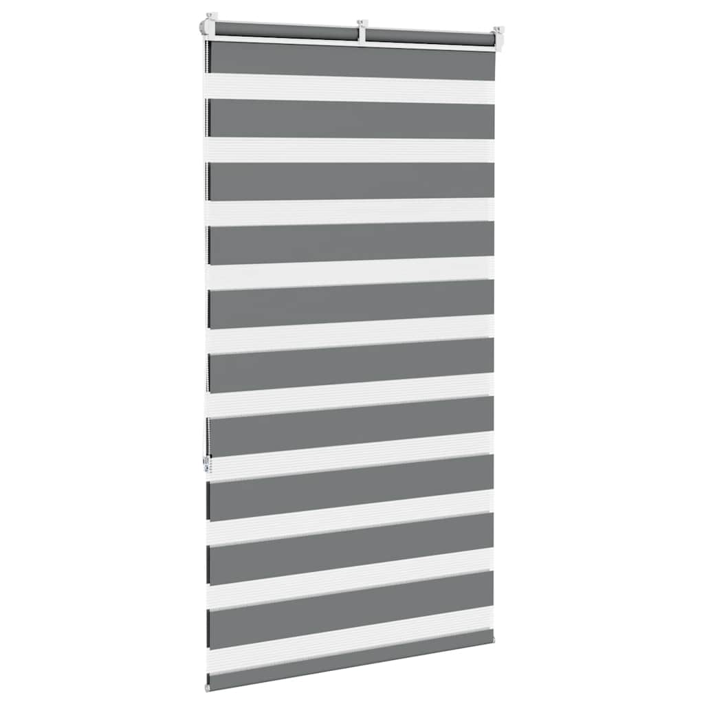 vidaXL Doppelrollo Dunkelgrau 80x150 cm Stoffbreite 75,9 cm Polyester