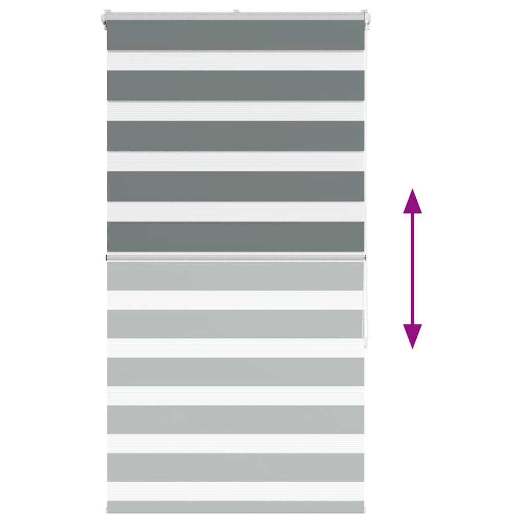 vidaXL Store double gris foncé 90x150 cm Largeur tissu 85,9 cm Polyester