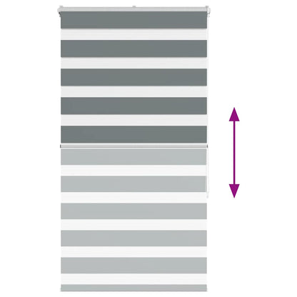 vidaXL Store double gris foncé 90x150 cm Largeur tissu 85,9 cm Polyester