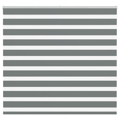vidaXL Double Store Enrouleur Gris Foncé 160x150cm Largeur de tissu 155,9 cm Polyester