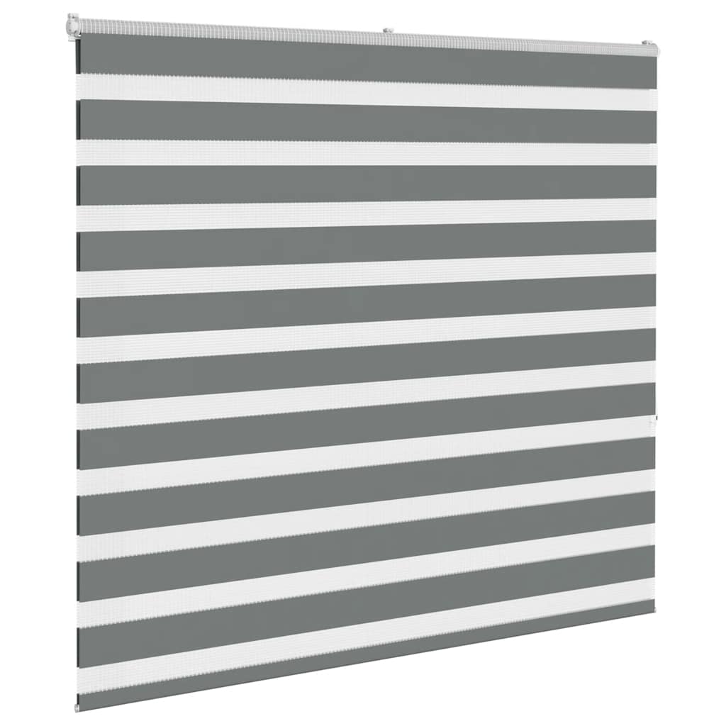 vidaXL Double Store Enrouleur Gris Foncé 160x150cm Largeur de tissu 155,9 cm Polyester