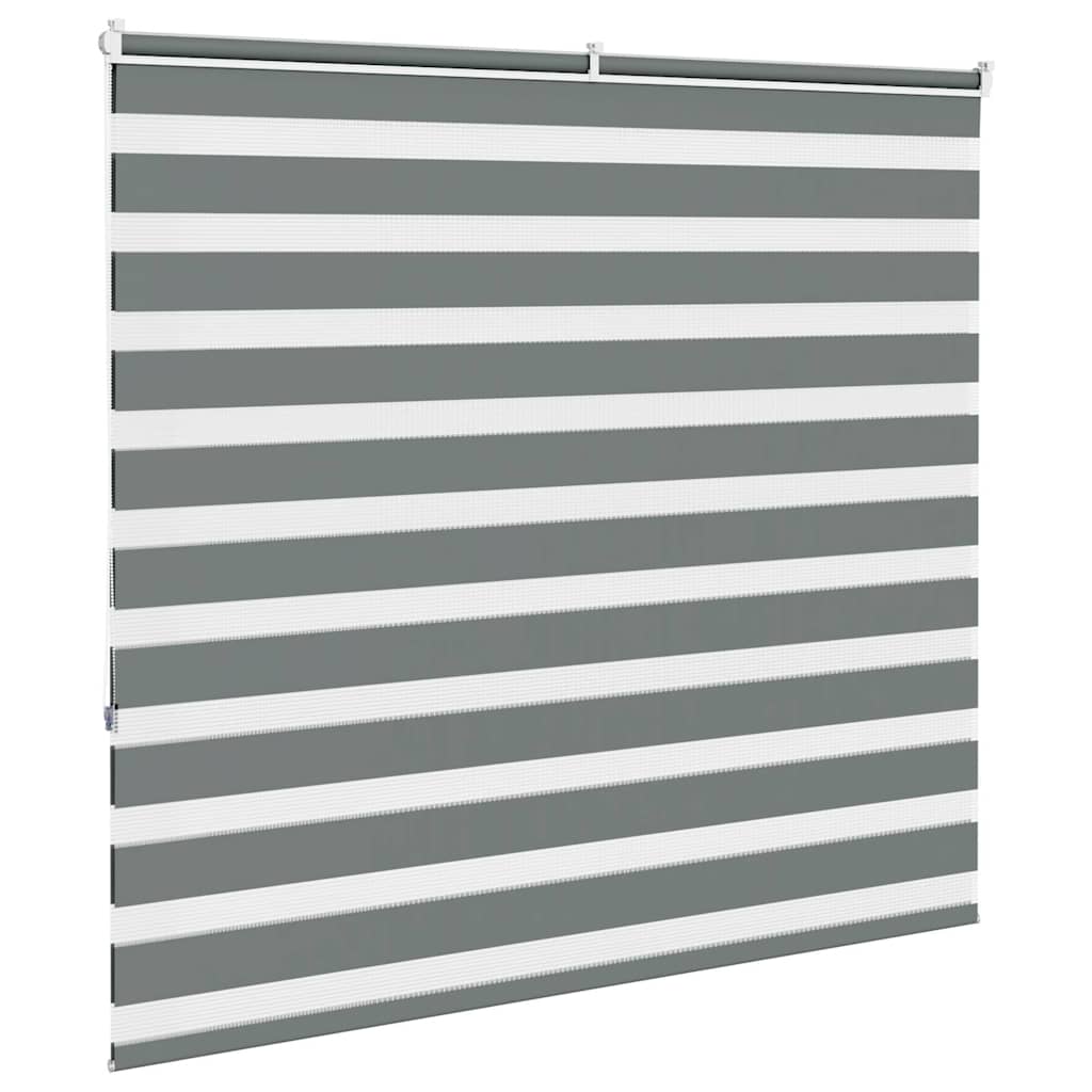 vidaXL Double store enrouleur gris foncé 165x150 cm Largeur tissu 160,9 cm Polyester