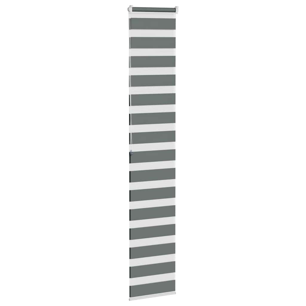 vidaXL Store double tamisant gris foncé 40x200 cm Largeur du tissu 35,9 cm Polyester