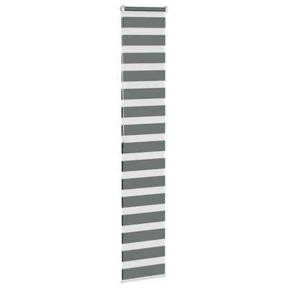vidaXL Double store enrouleur gris foncé 50x200 cm largeur du tissu 45,9 cm polyester