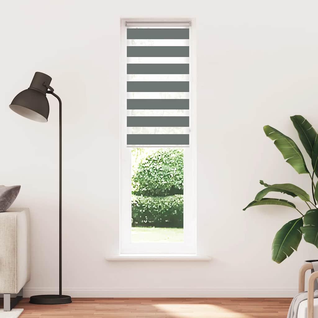 vidaXL Doppelrollo Dunkelgrau 55x200 cm Stoffbreite 50,9 cm Polyester