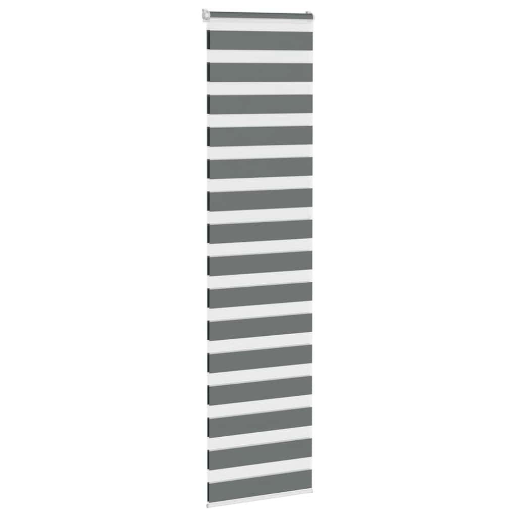 vidaXL Doppelrollo Dunkelgrau 55x200 cm Stoffbreite 50,9 cm Polyester