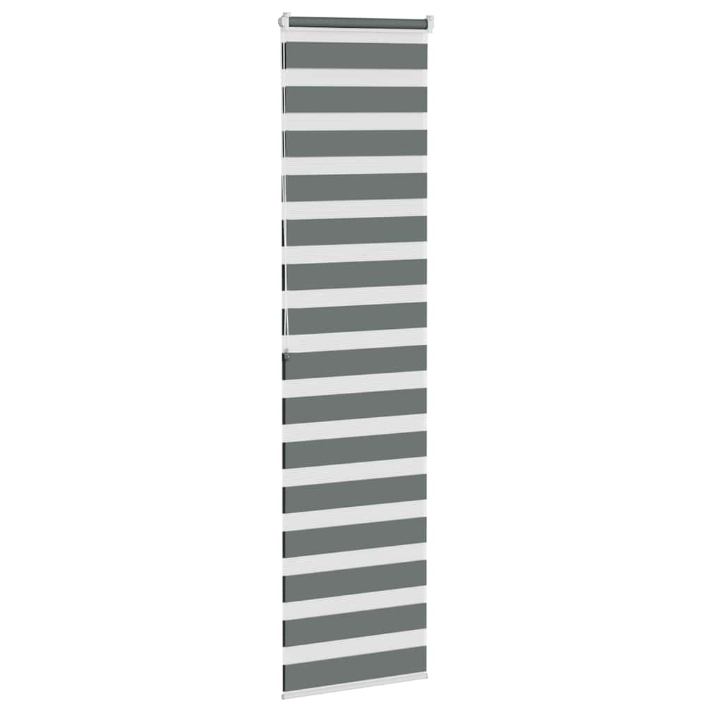 vidaXL Doppelrollo Dunkelgrau 60x200 cm Stoffbreite 55,9 cm Polyester