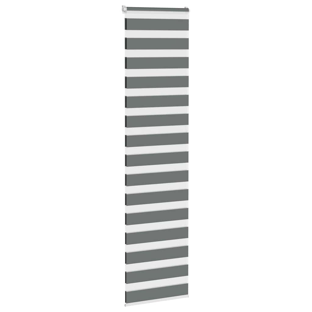 vidaXL Store double tamisant gris foncé 70x200 cm Largeur du tissu 65,9 cm Polyester