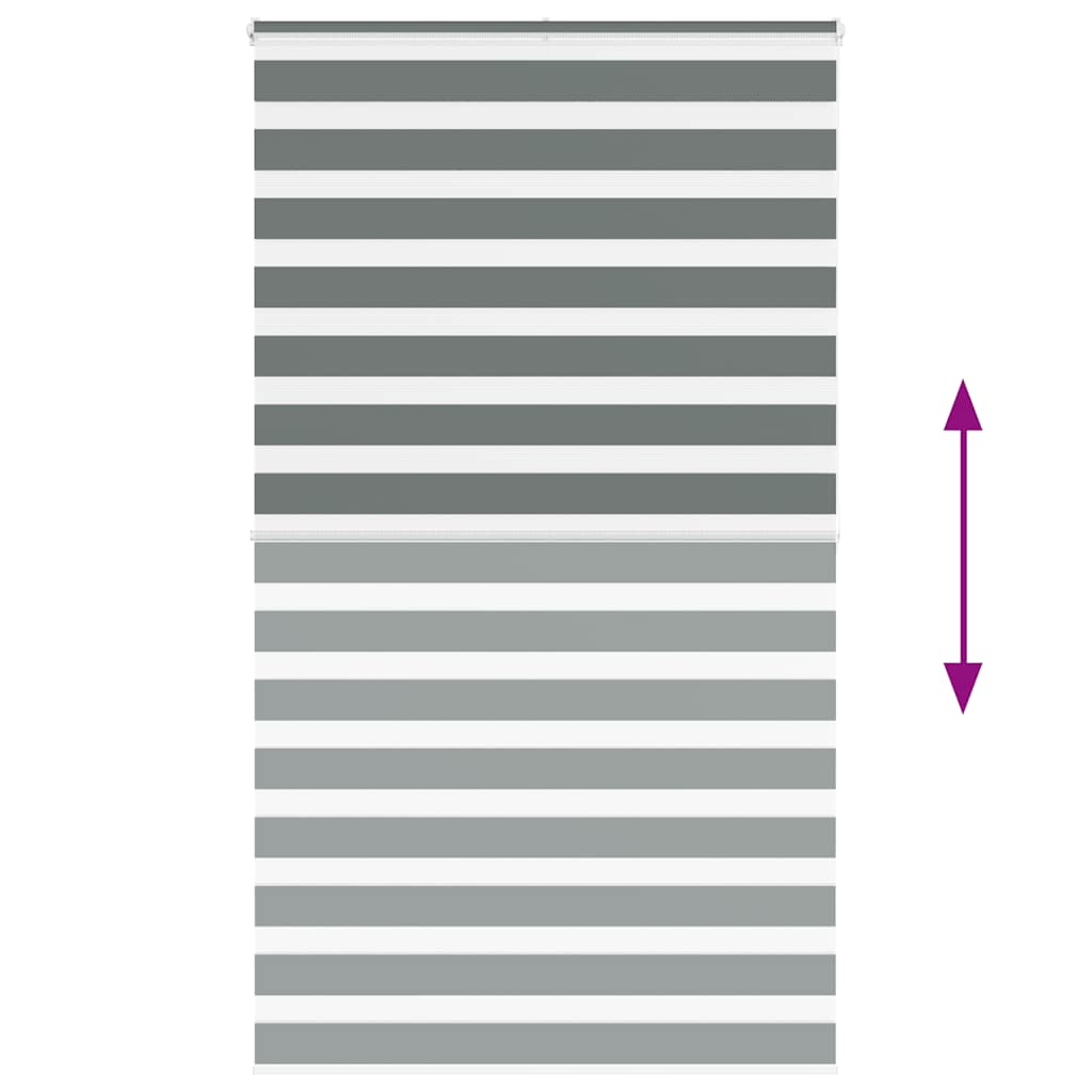 Doppelrollo Dunkelgrau 125x200 cm Stoffbreite 120,9 cm Polyester