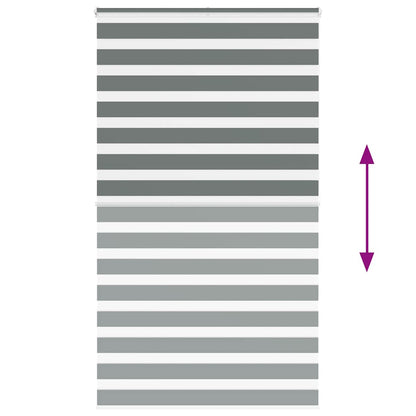 Doppelrollo Dunkelgrau 125x200 cm Stoffbreite 120,9 cm Polyester