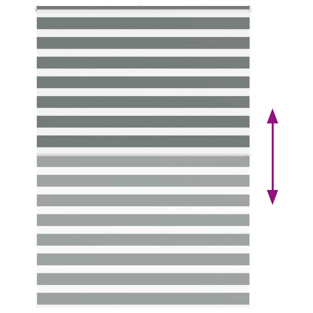 Doppelrollo Dunkelgrau 155x200 cm Stoffbreite 150,9 cm Polyester