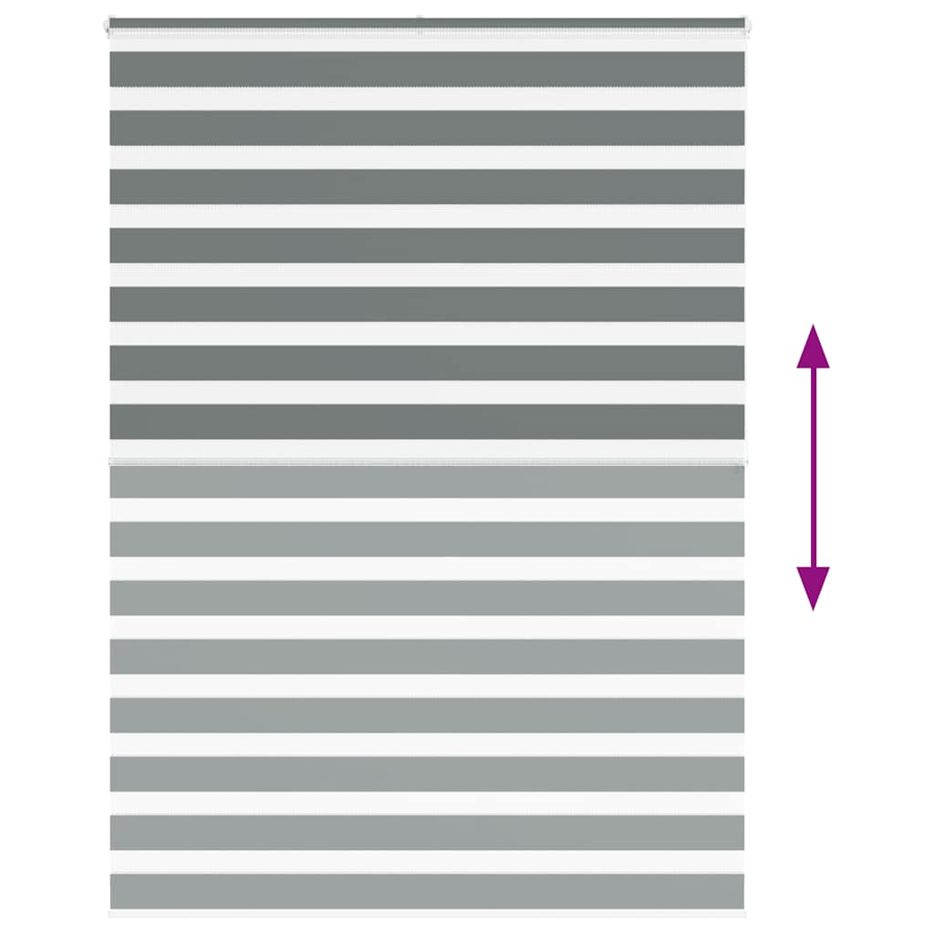 Doppelrollo Dunkelgrau 165x200 cm Stoffbreite 160,9 cm Polyester