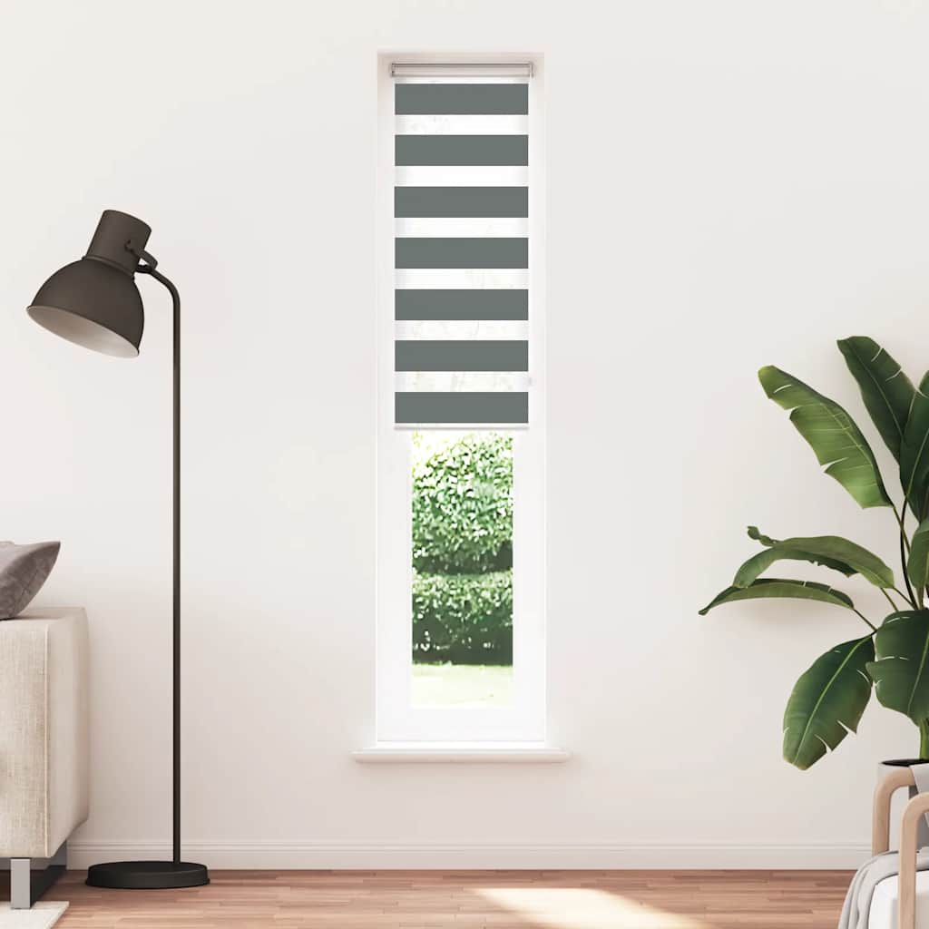 vidaXL Doppelrollo Dunkelgrau 40x230 cm Stoffbreite 35,9 cm Polyester