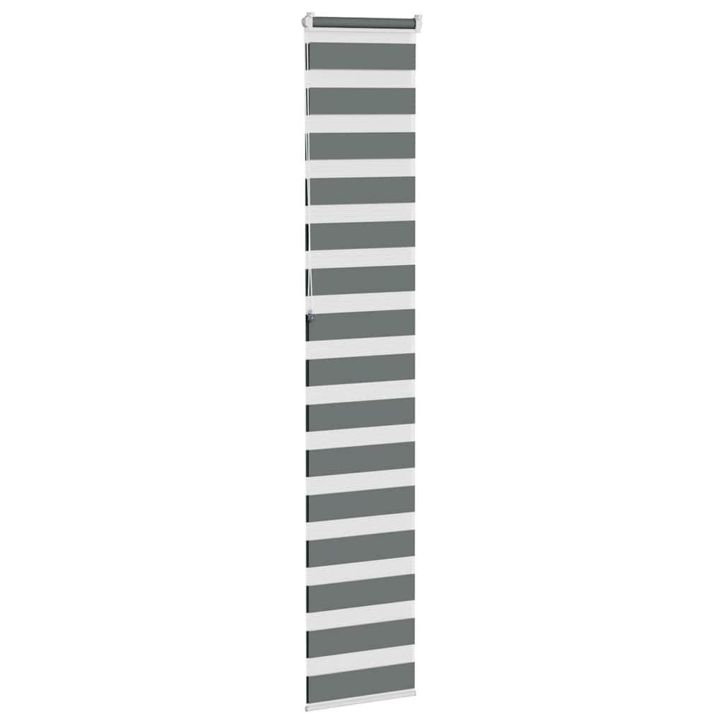 vidaXL Doppelrollo Dunkelgrau 45x230 cm Stoffbreite 40,9 cm Polyester