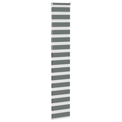 vidaXL Doppelrollo Dunkelgrau 45x230 cm Stoffbreite 40,9 cm Polyester