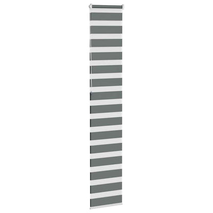 vidaXL Doppelrollo Dunkelgrau 50x230 cm Stoffbreite 45,9 cm Polyester