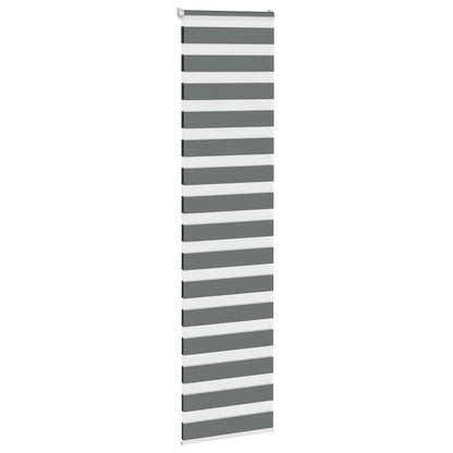 vidaXL Doppelrollo Dunkelgrau 55x230 cm Stoffbreite 50,9 cm Polyester
