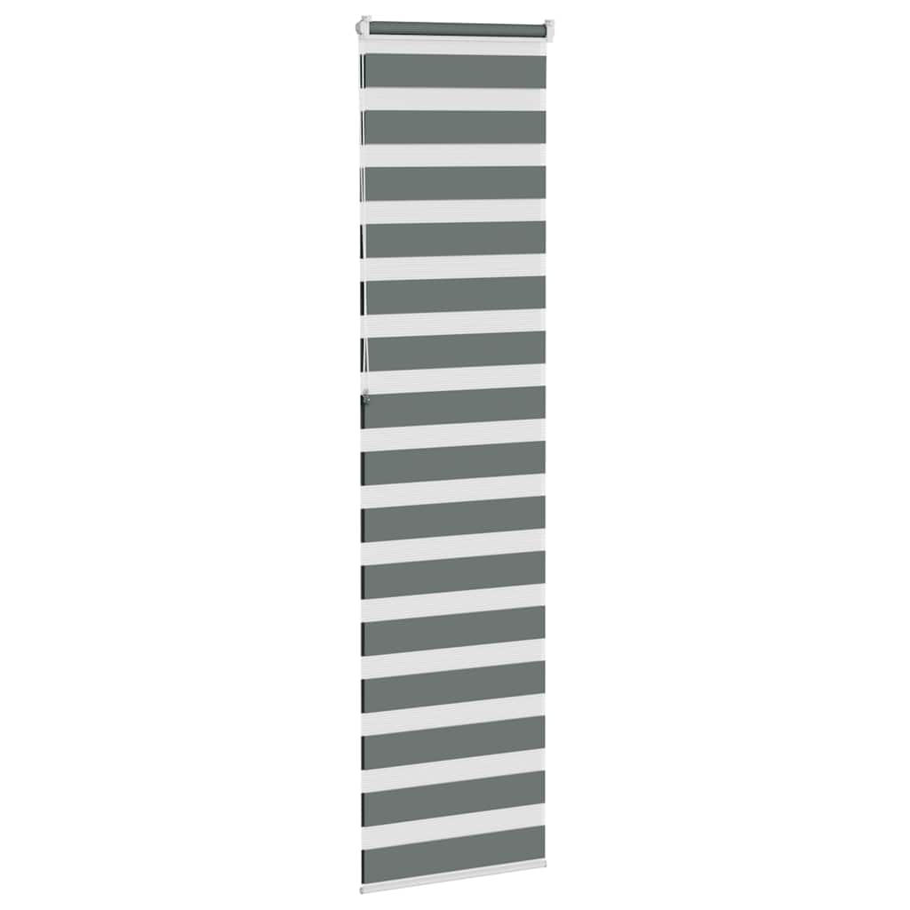 vidaXL Doppelrollo Dunkelgrau 55x230 cm Stoffbreite 50,9 cm Polyester