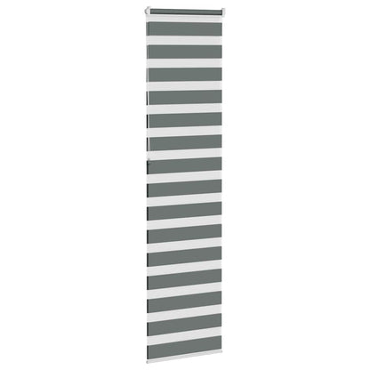 vidaXL Doppelrollo Dunkelgrau 55x230 cm Stoffbreite 50,9 cm Polyester