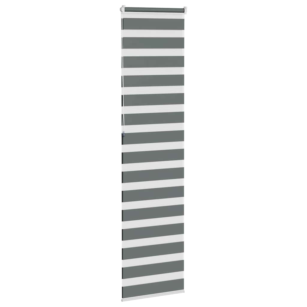vidaXL Doppelrollo Dunkelgrau 65x230 cm Stoffbreite 60,9 cm Polyester