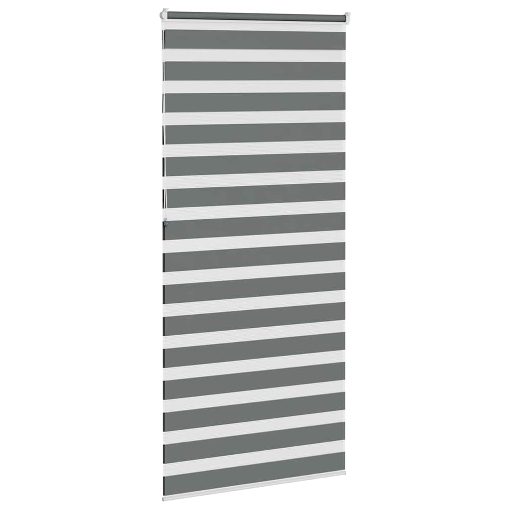 vidaXL Doppelrollo Dunkelgrau 115x230 cm Stoffbreite 110,9 cm Polyester