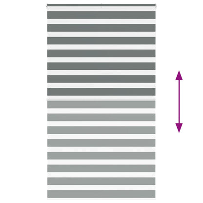 Doppelrollo Dunkelgrau 120x230 cm Stoffbreite 115,9 cm Polyester