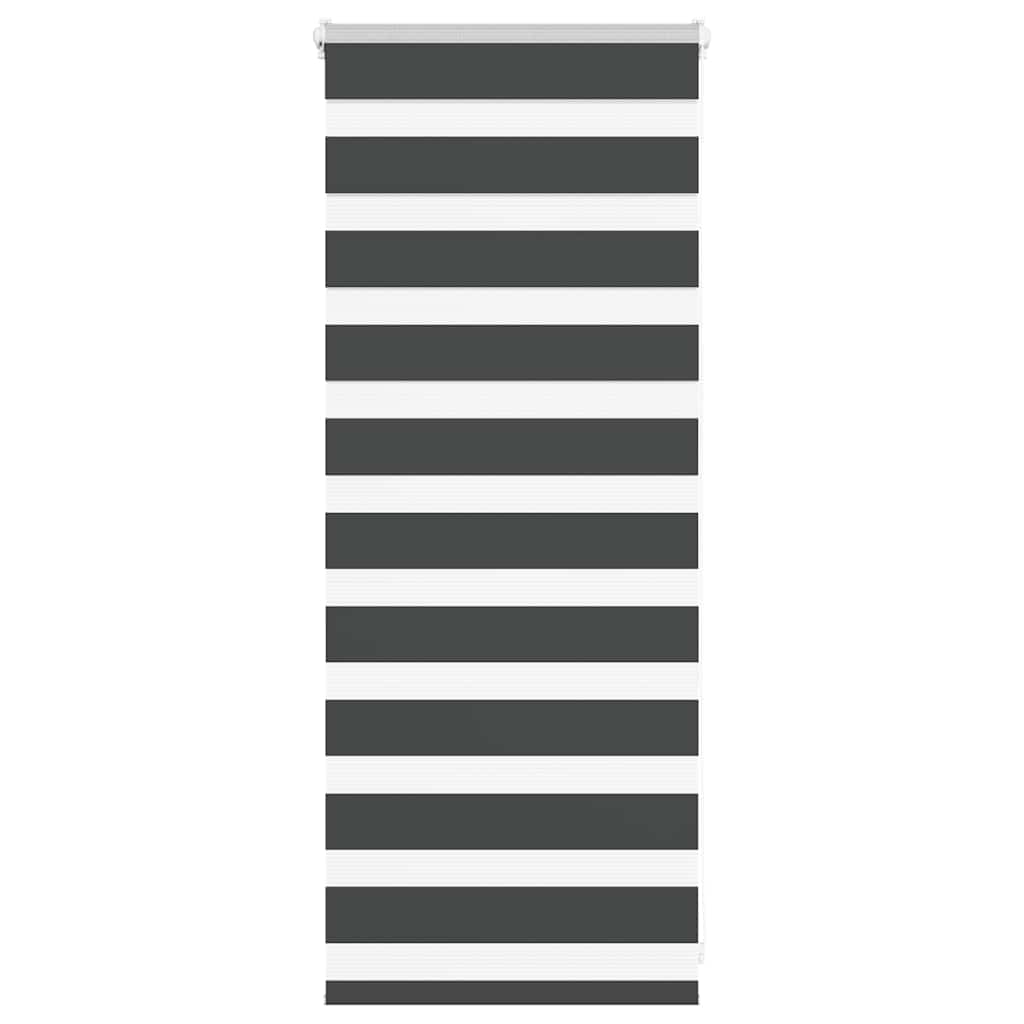 Doppelrollo Schwarz 60x100 cm Stoffbreite 55,9 cm Polyester