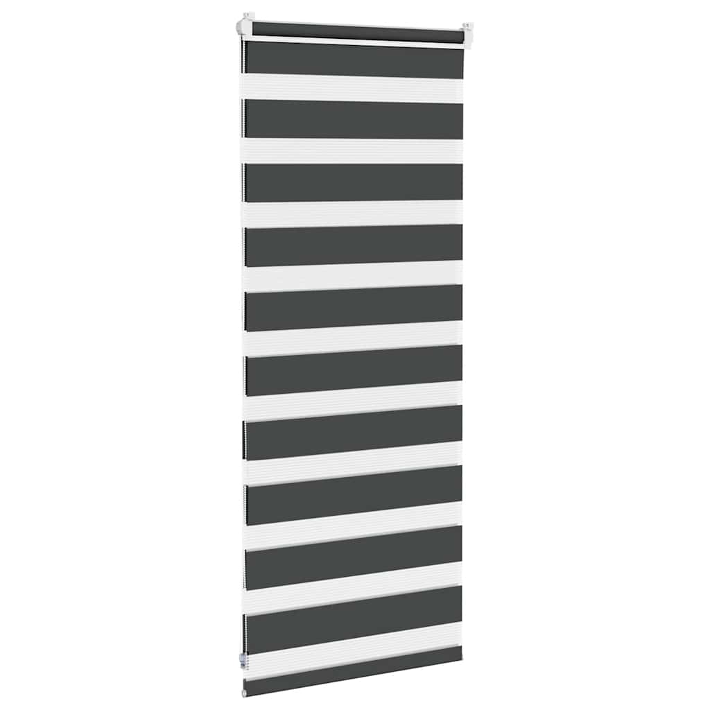 vidaXL Doppelrollo Schwarz 60x100 cm Stoffbreite 55,9 cm Polyester