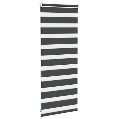 vidaXL Doppelrollo Schwarz 60x100 cm Stoffbreite 55,9 cm Polyester