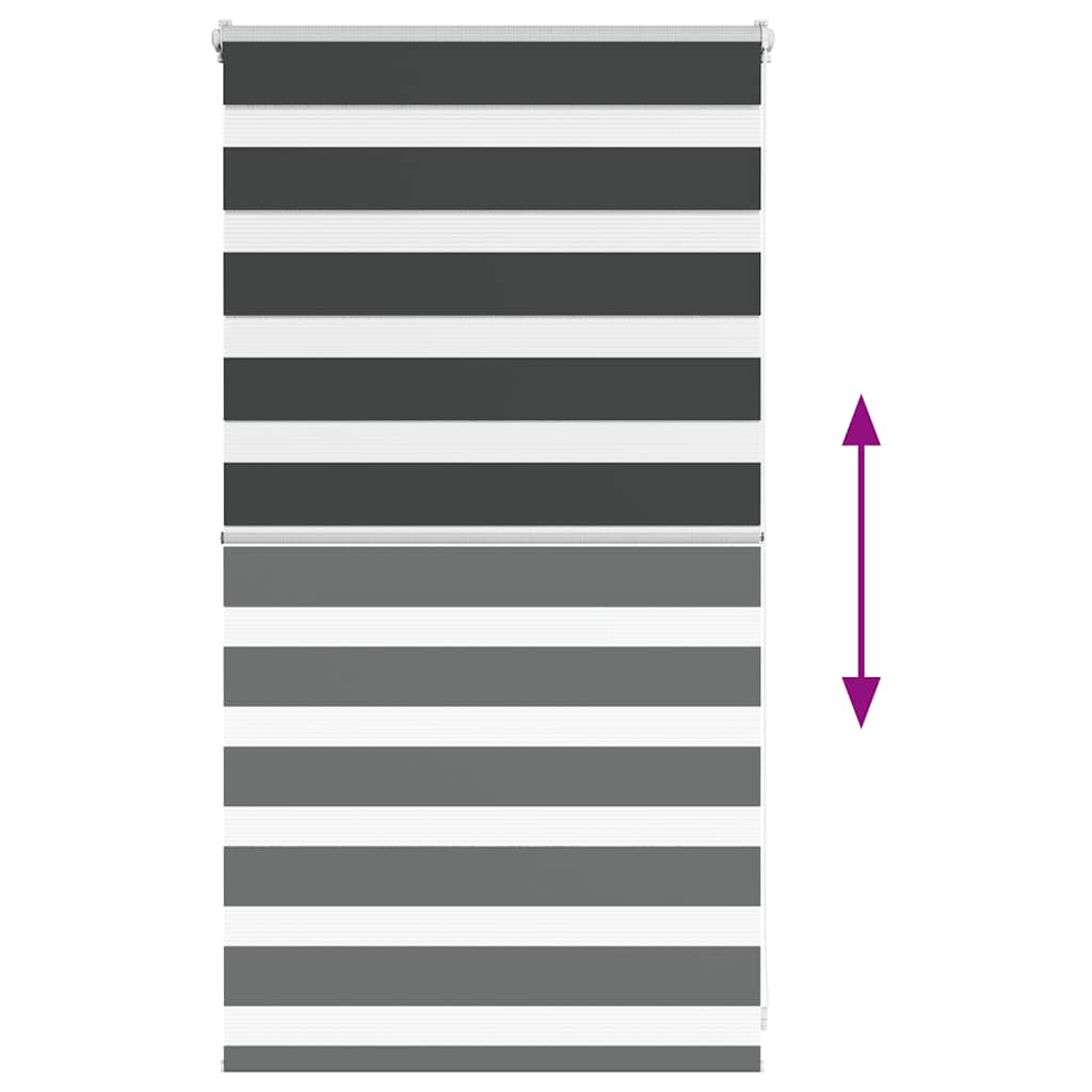 Doppelrollo Schwarz 75x100 cm Stoffbreite 70,9 cm Polyester